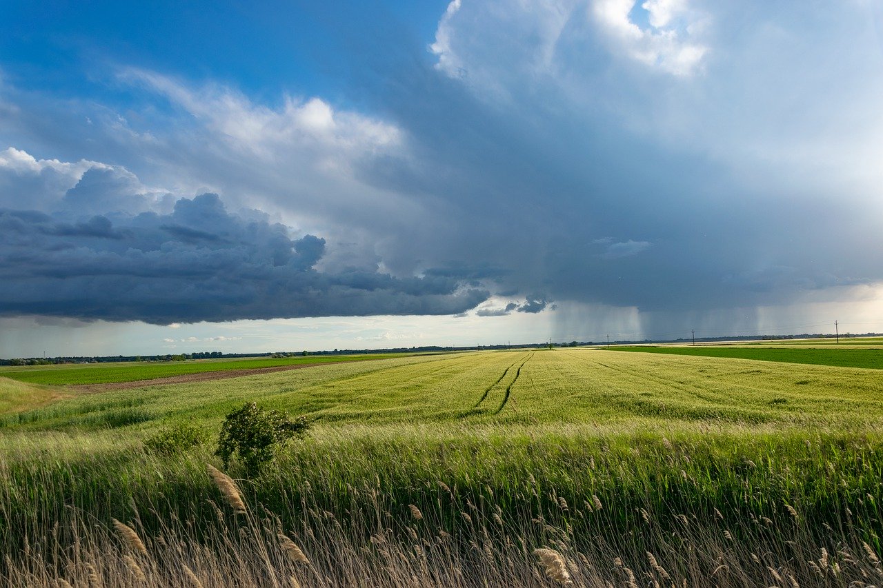 storm, cornfield, clouds